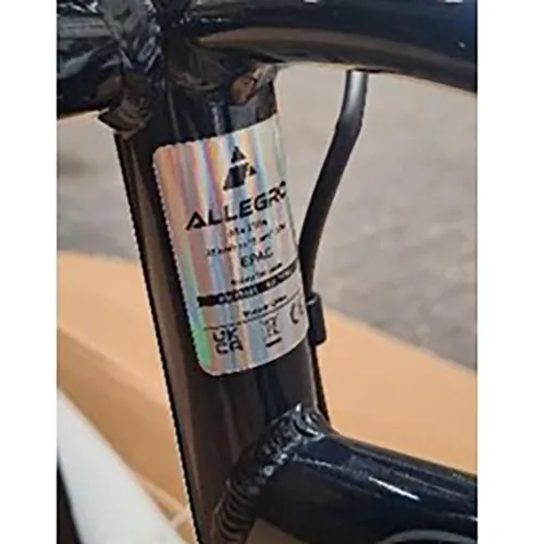 bicicleta eléctrica Allegro M7 Sport Starsfly E-Bike (foto 3)