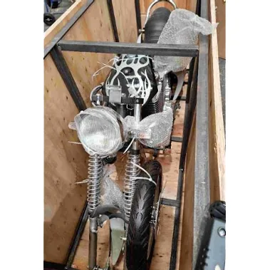 Electric Motorbike (foto 2)