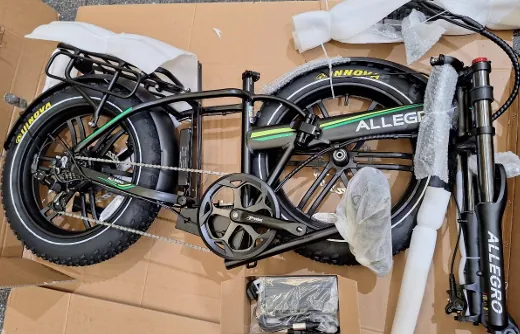 bicicleta eléctrica Allegro E-bike