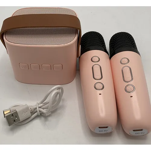 conjunto de karaoke portátil Portable Karaoke Speaker Kits (foto 3)